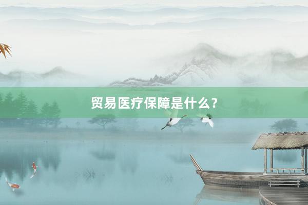 贸易医疗保障是什么？