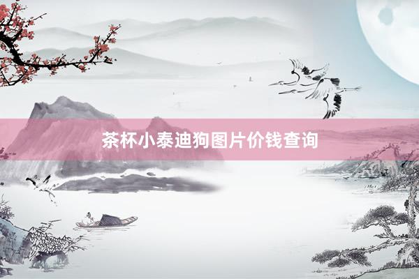 茶杯小泰迪狗图片价钱查询