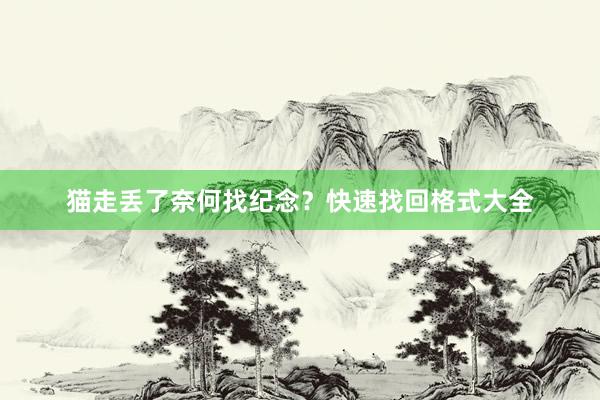 猫走丢了奈何找纪念？快速找回格式大全